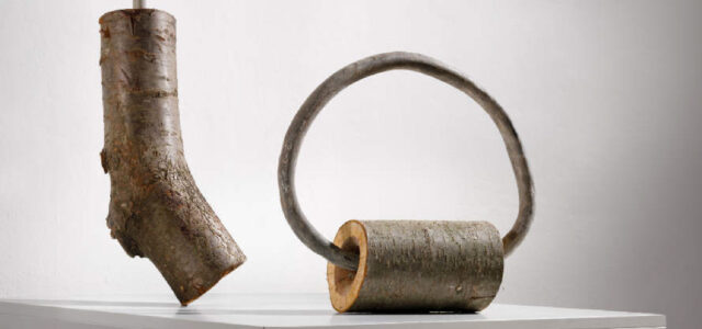 98. Jahresschau 2024