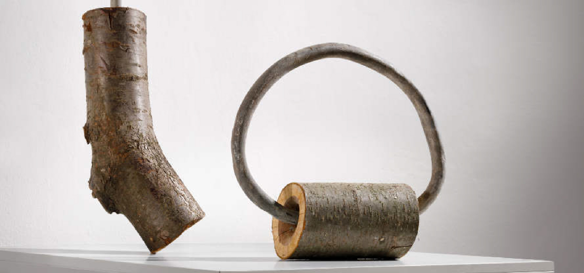 98. Jahresschau 2024